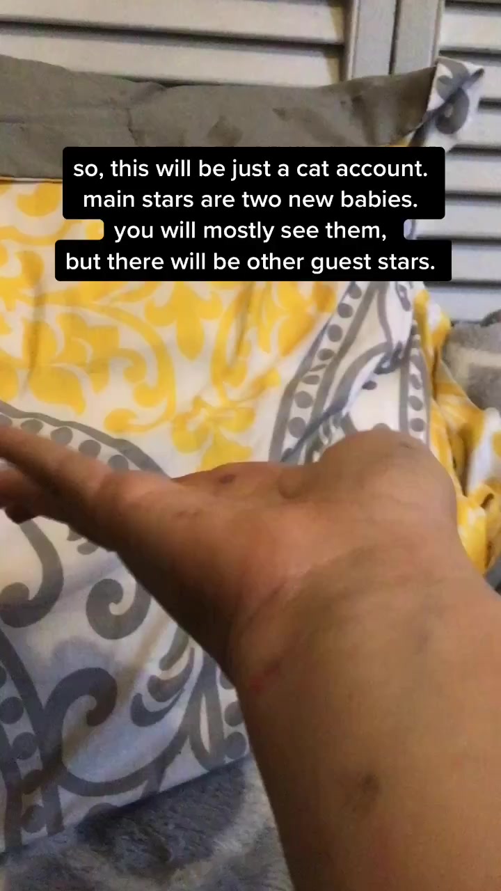 @Nalah and Rascal