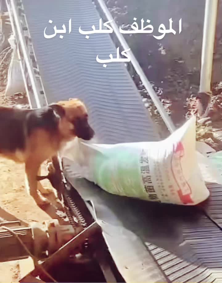 @تغطيات صقر_101