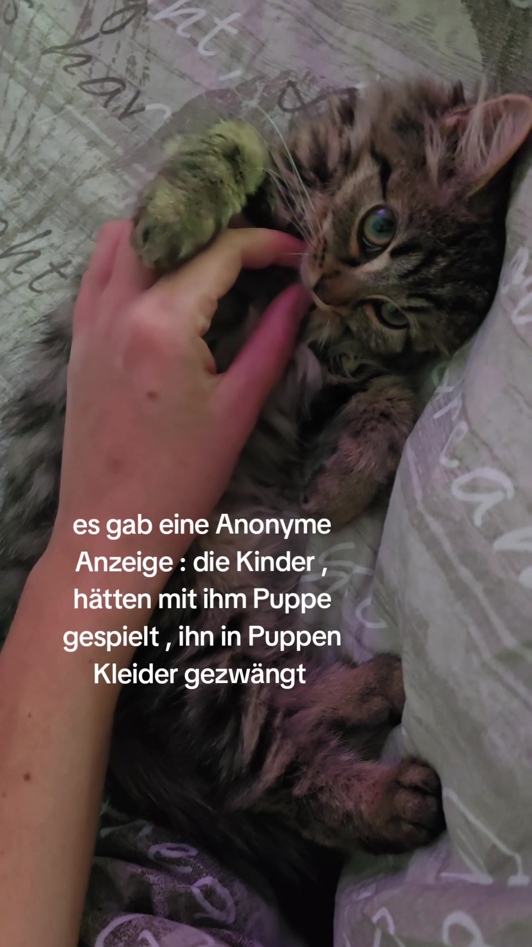 @T/E
