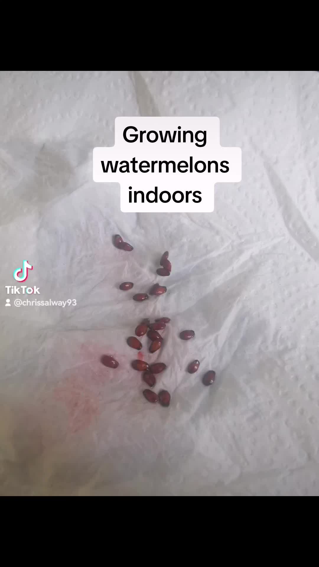 @Cidisblade