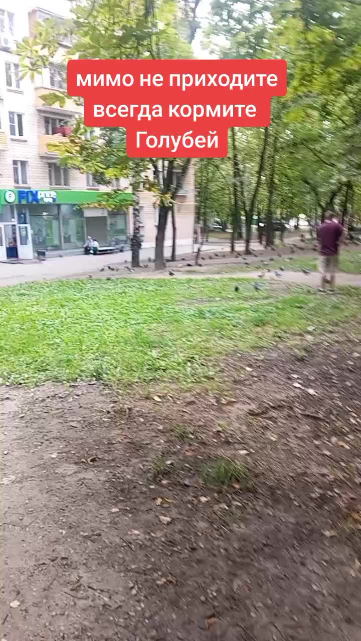 @Никита