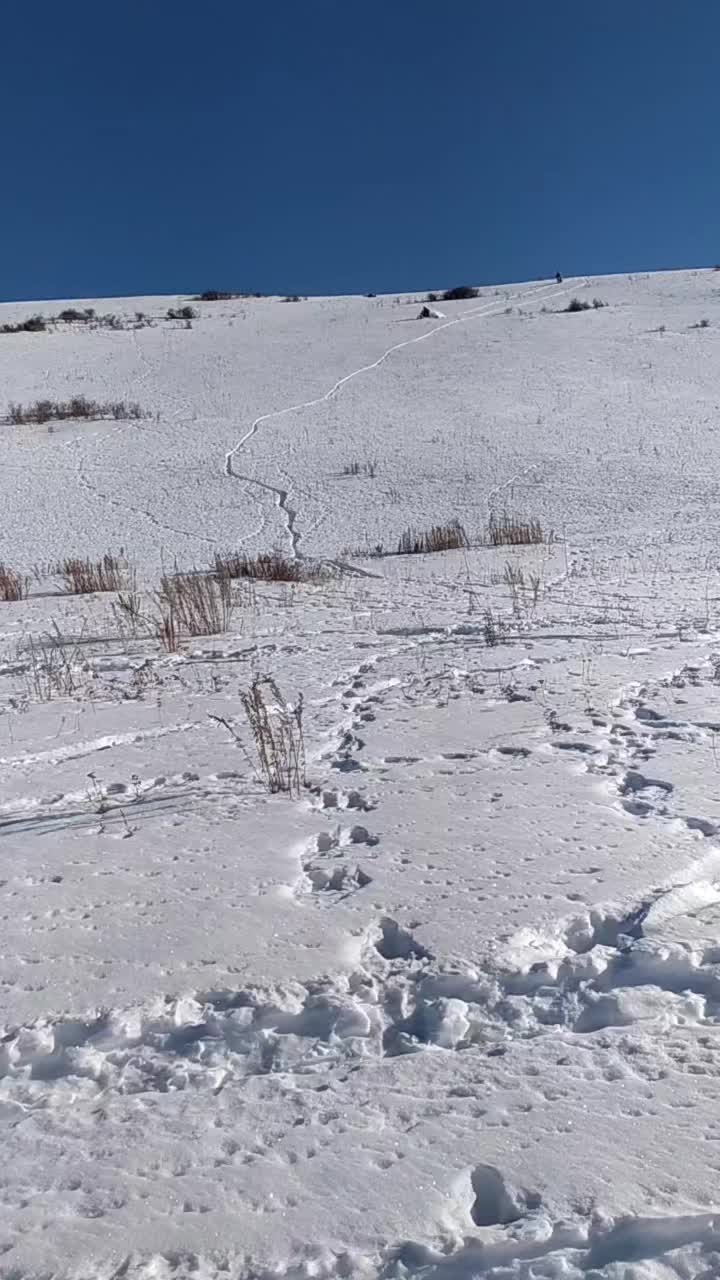 @Рамиль Забиров