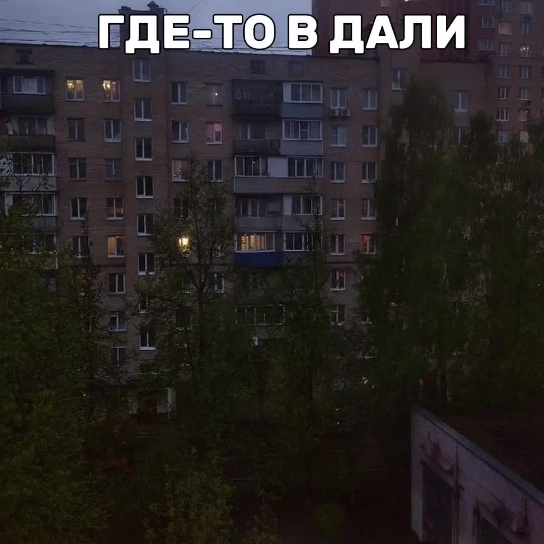 @ᶻ 𝘇 𝓵𝓲𝓼𝔀𝓮𝓷 🩹