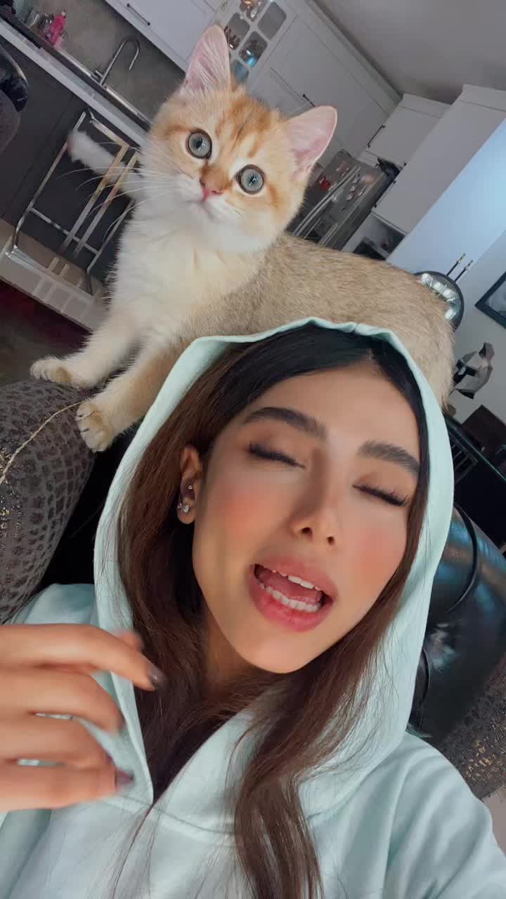 @diyana.rahimi