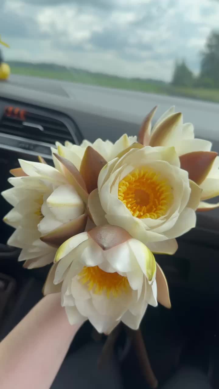 @Екатерина