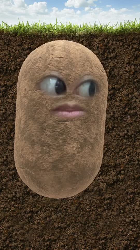 @Spudtacular8