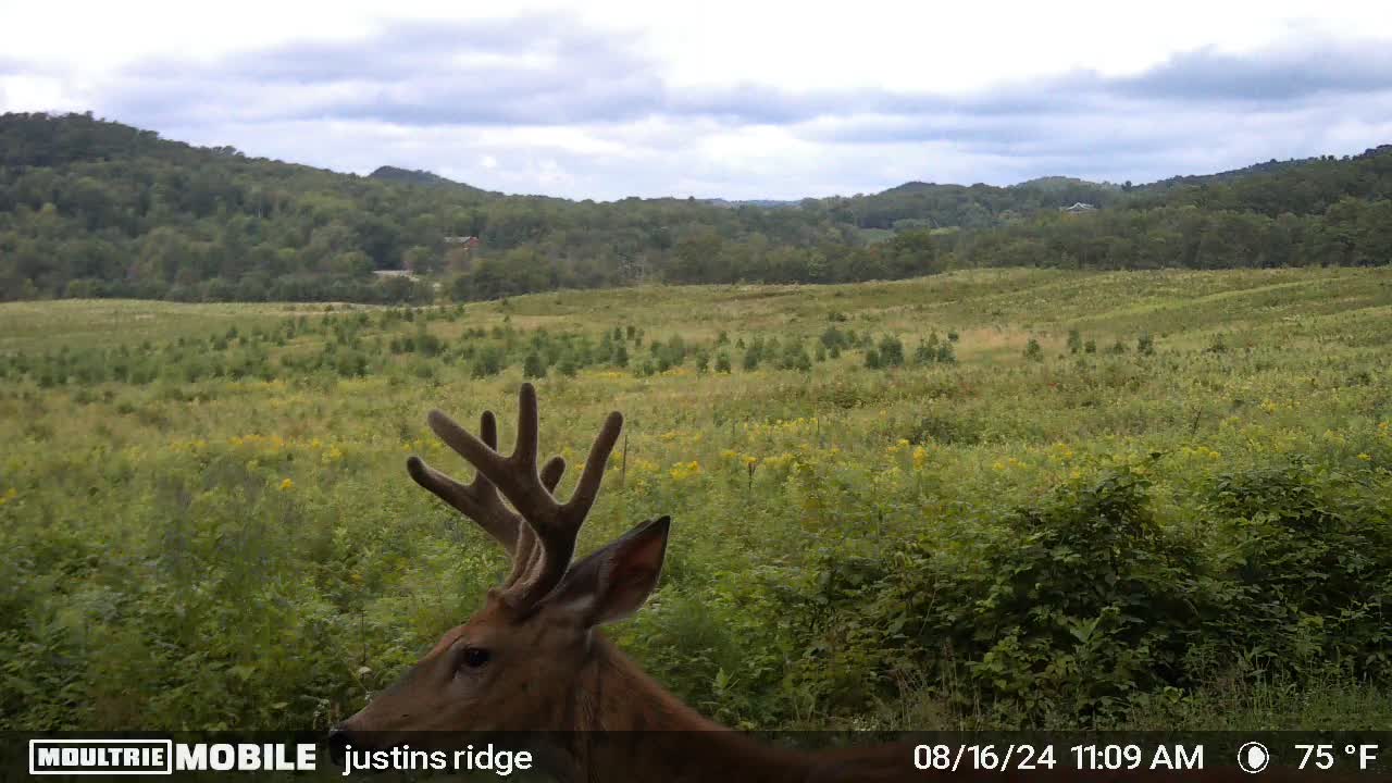 @Justin Currier Parke