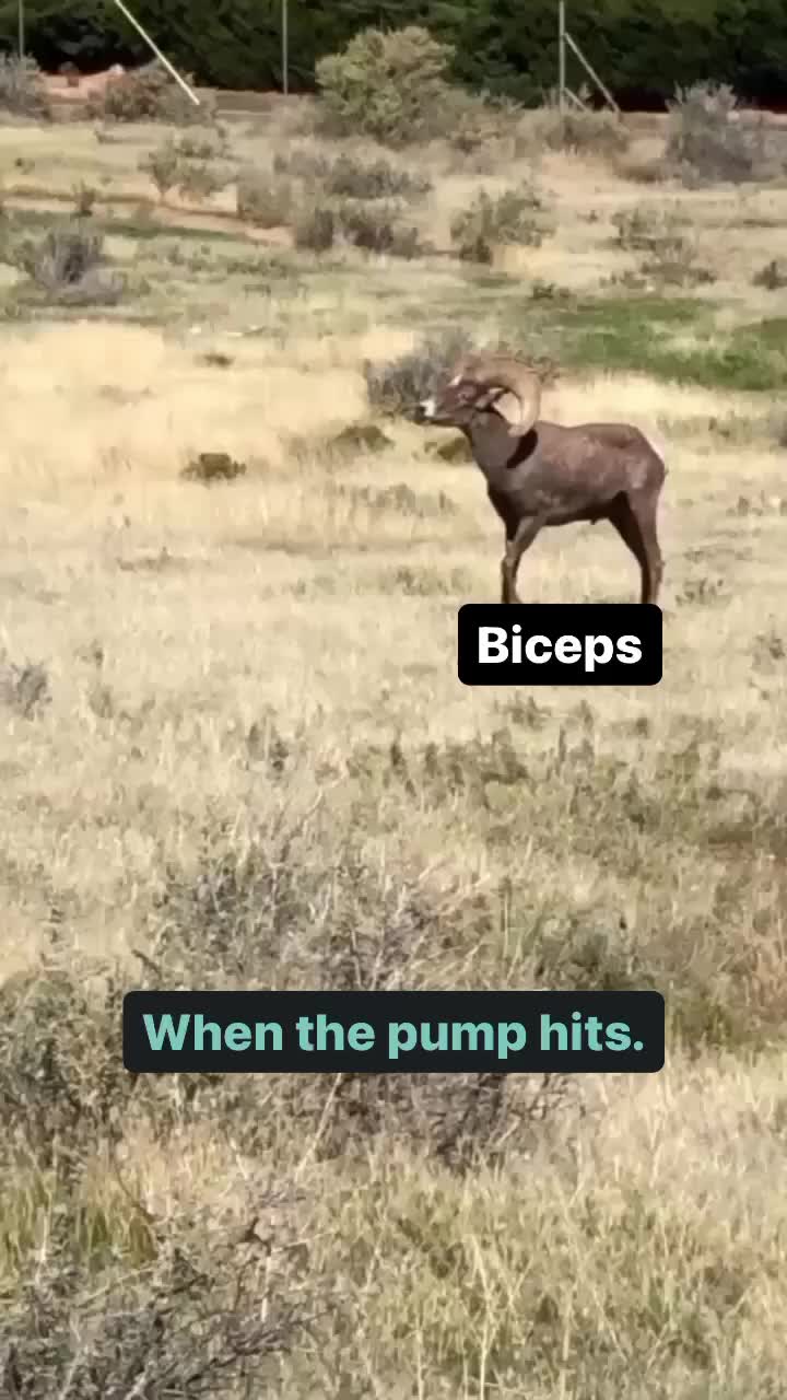 @Kris Zizzo