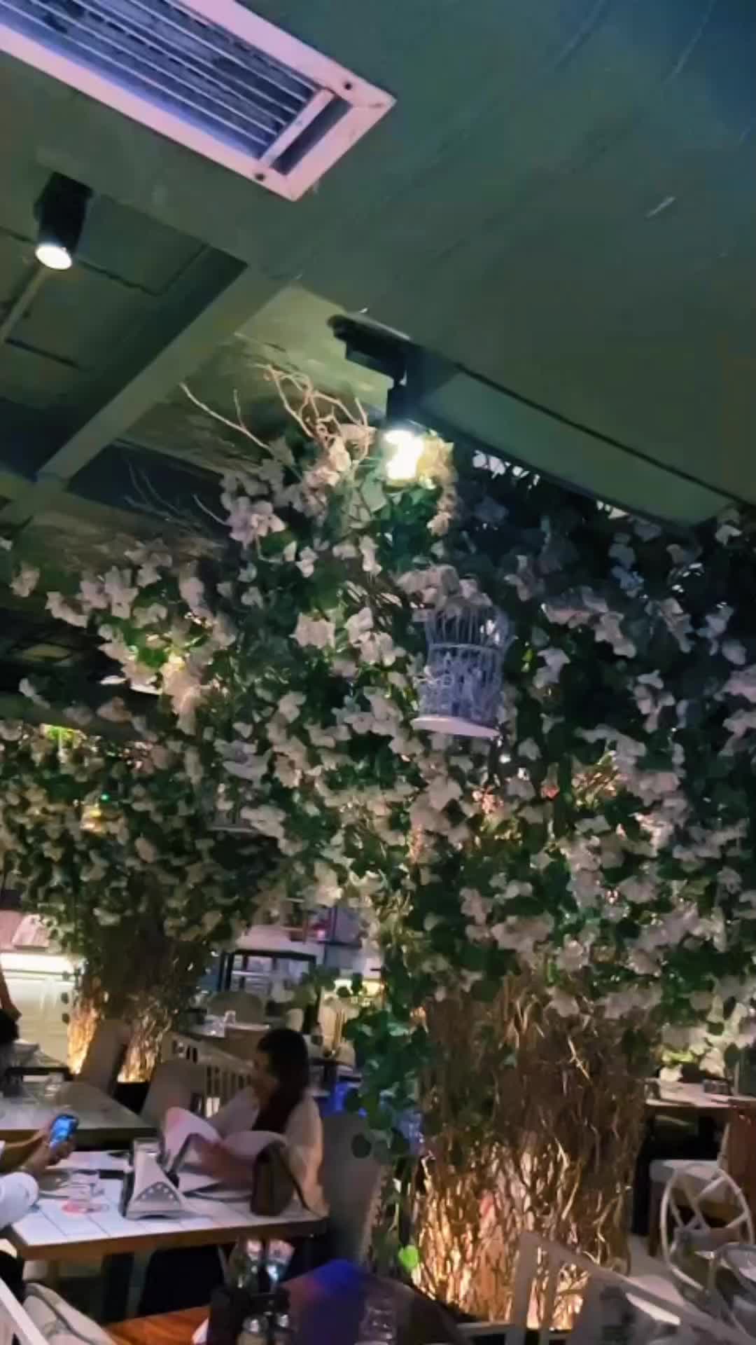 @mohantikhatari681