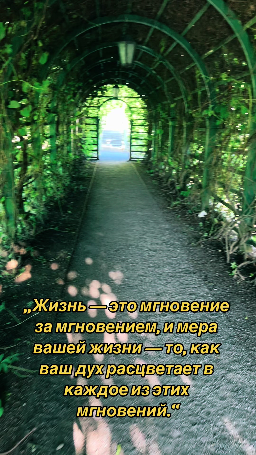 @Гордый Волк 🇫🇷🇪🇪