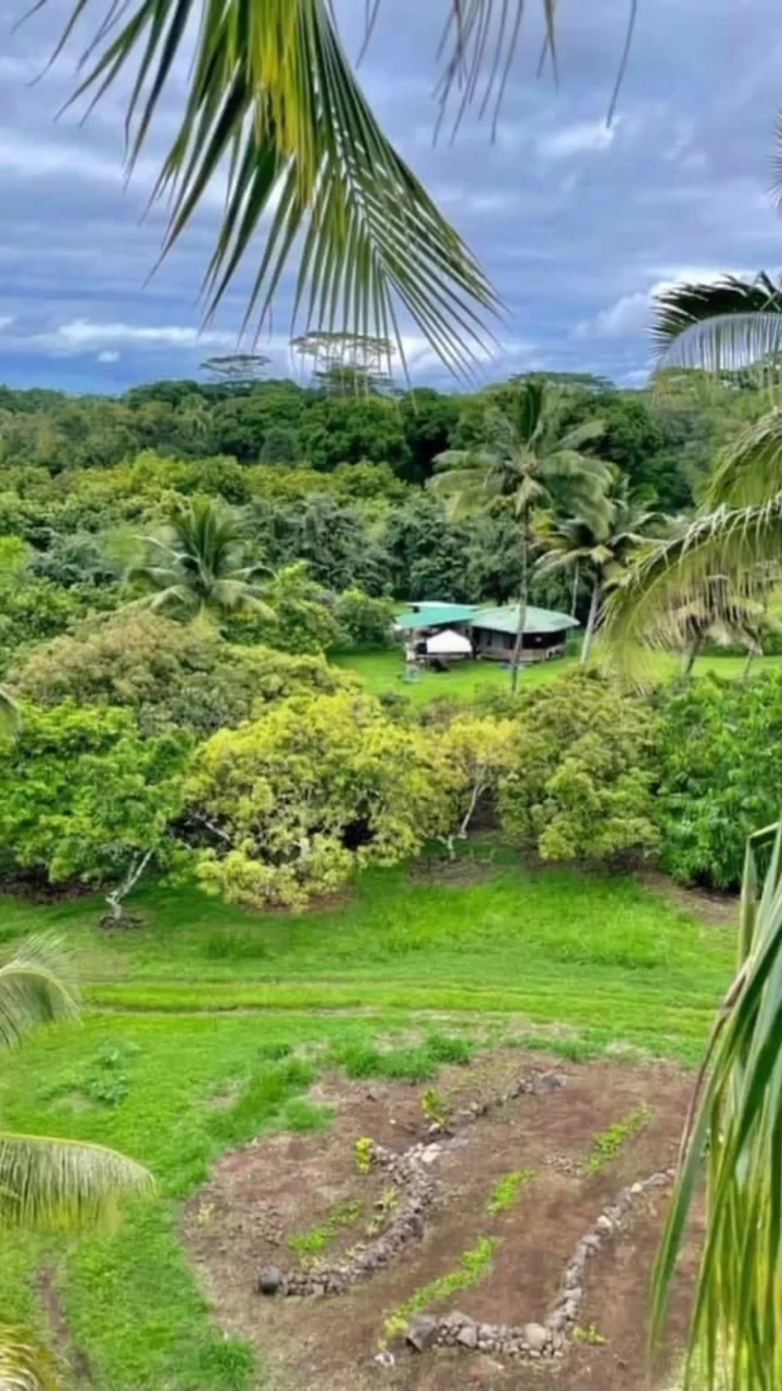 @kumuainafarms