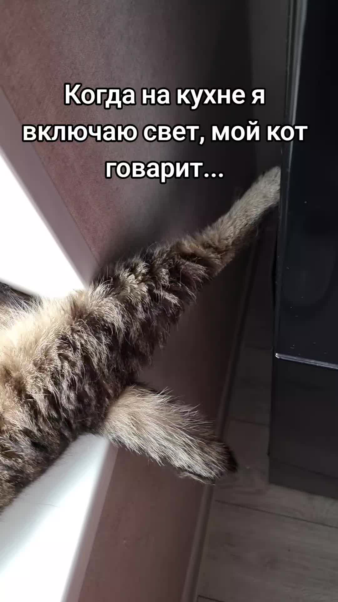 @Женька и Барсик🇱🇻