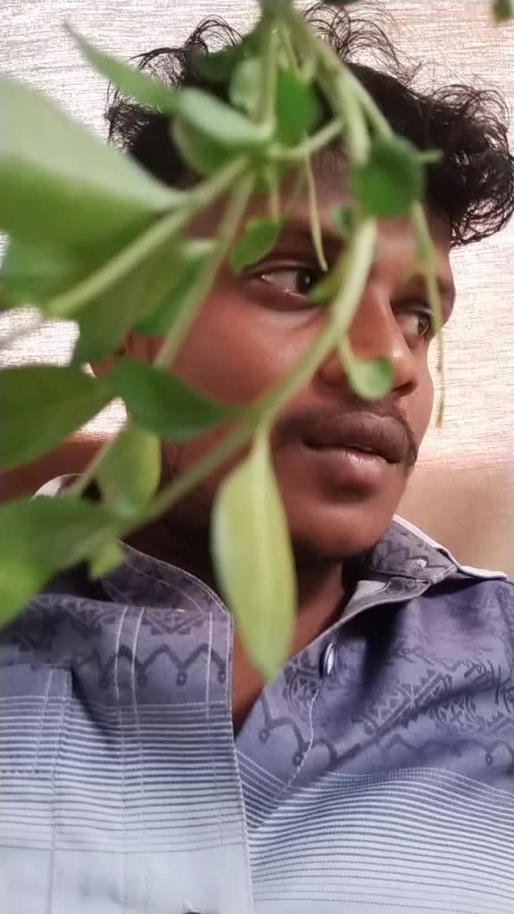 @prabha king