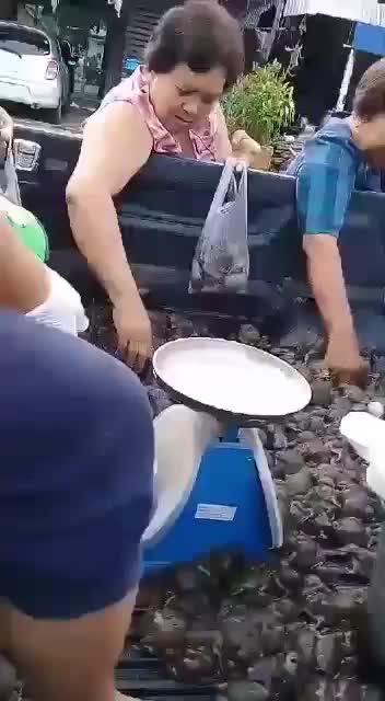 @___MAA___
