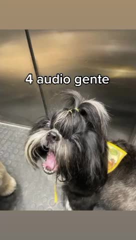 @sᴋʏᴇᴀʟɪᴇɴ