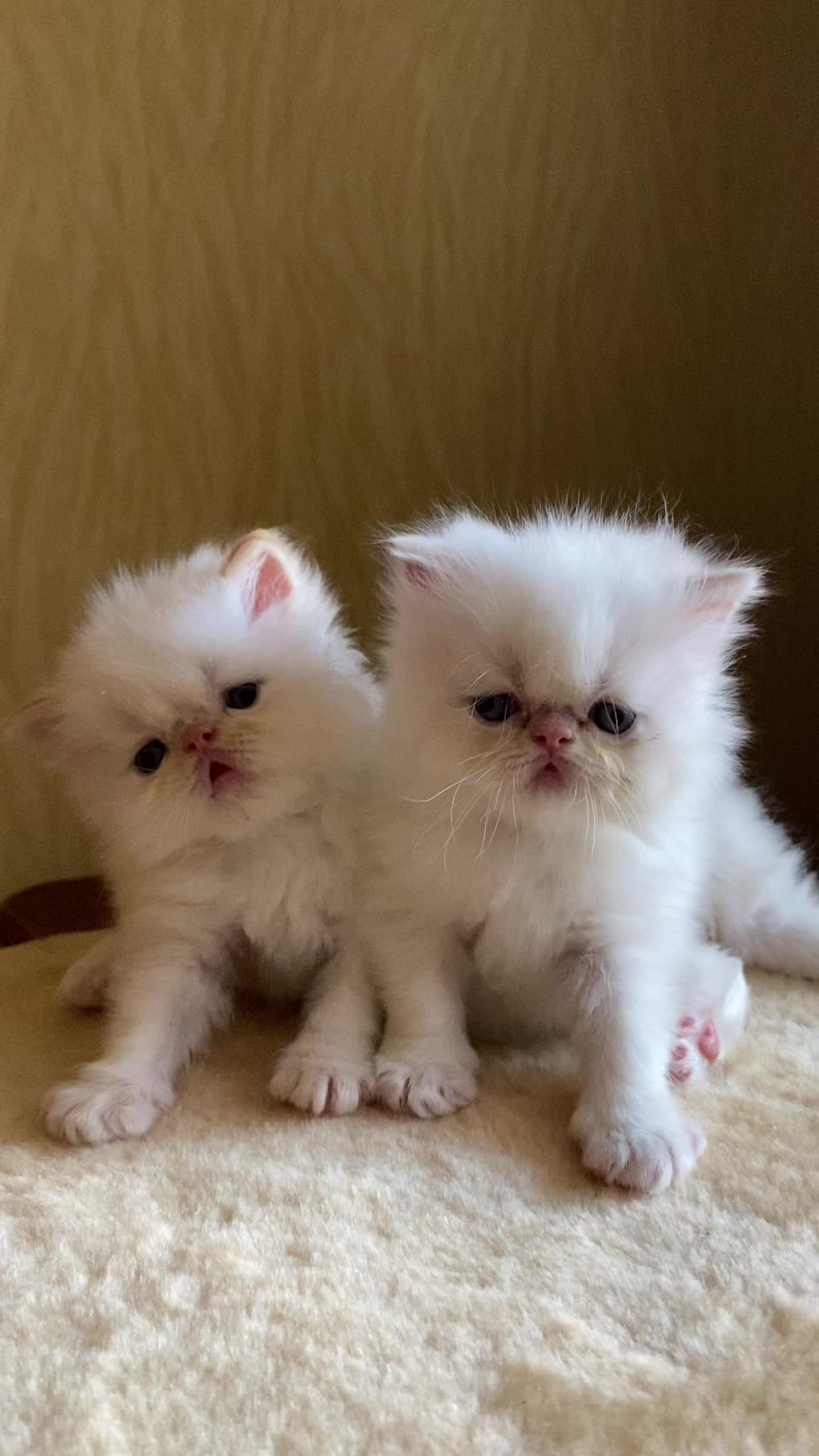 @Юля Турелик