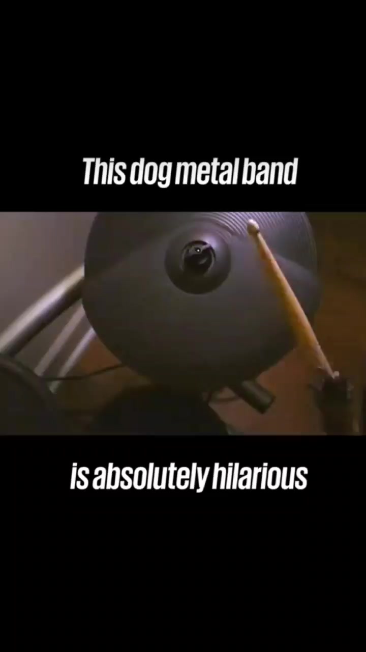 @☣️ℙ𝕆𝕀𝕊𝕆ℕ 𝕀𝕍𝕐☣️