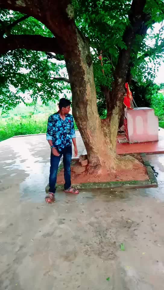 @Mother Is My World