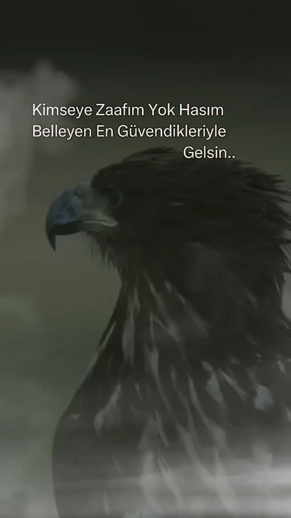 @Yal&ccedil;ın