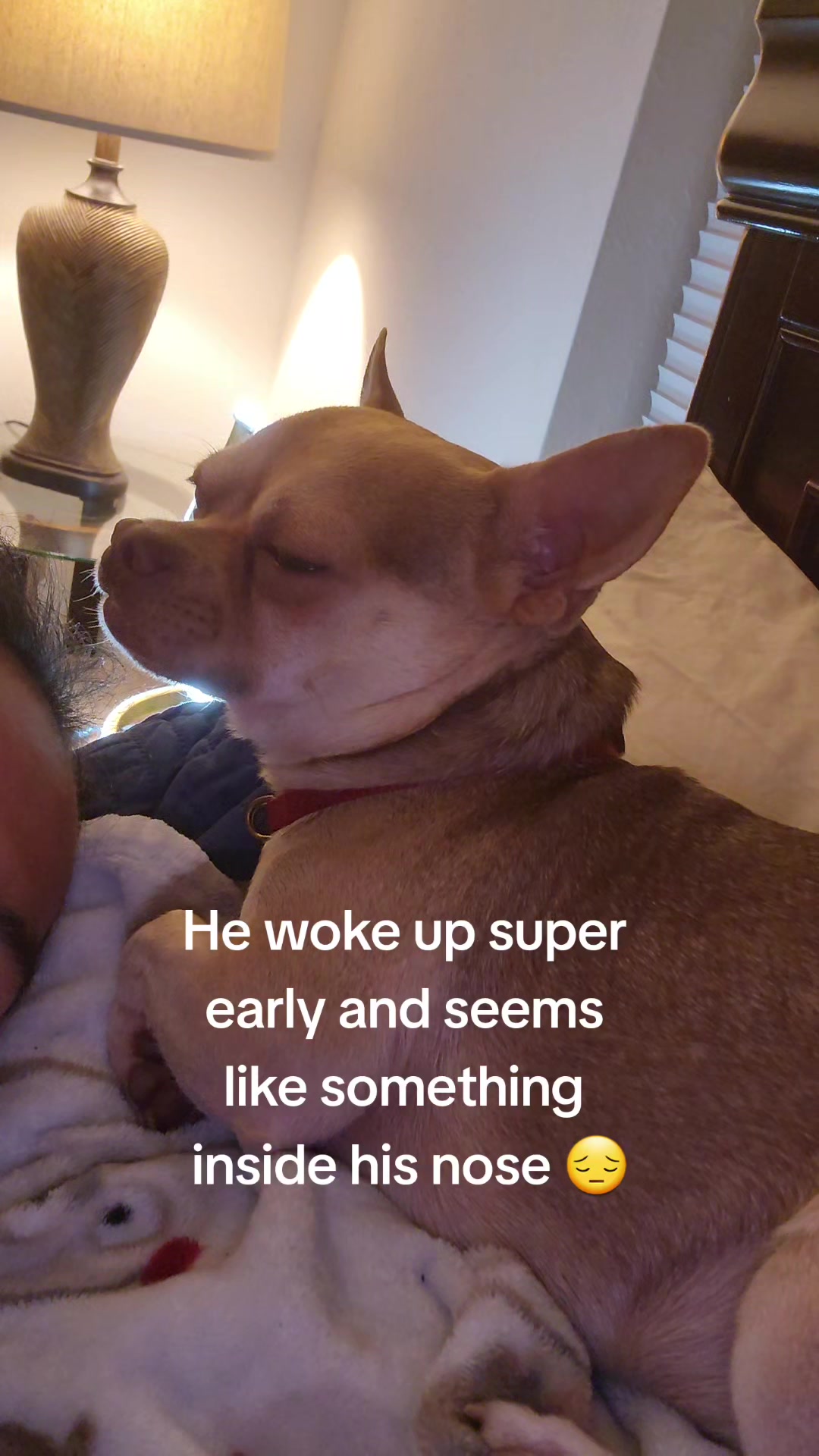 @Dr&eacute;