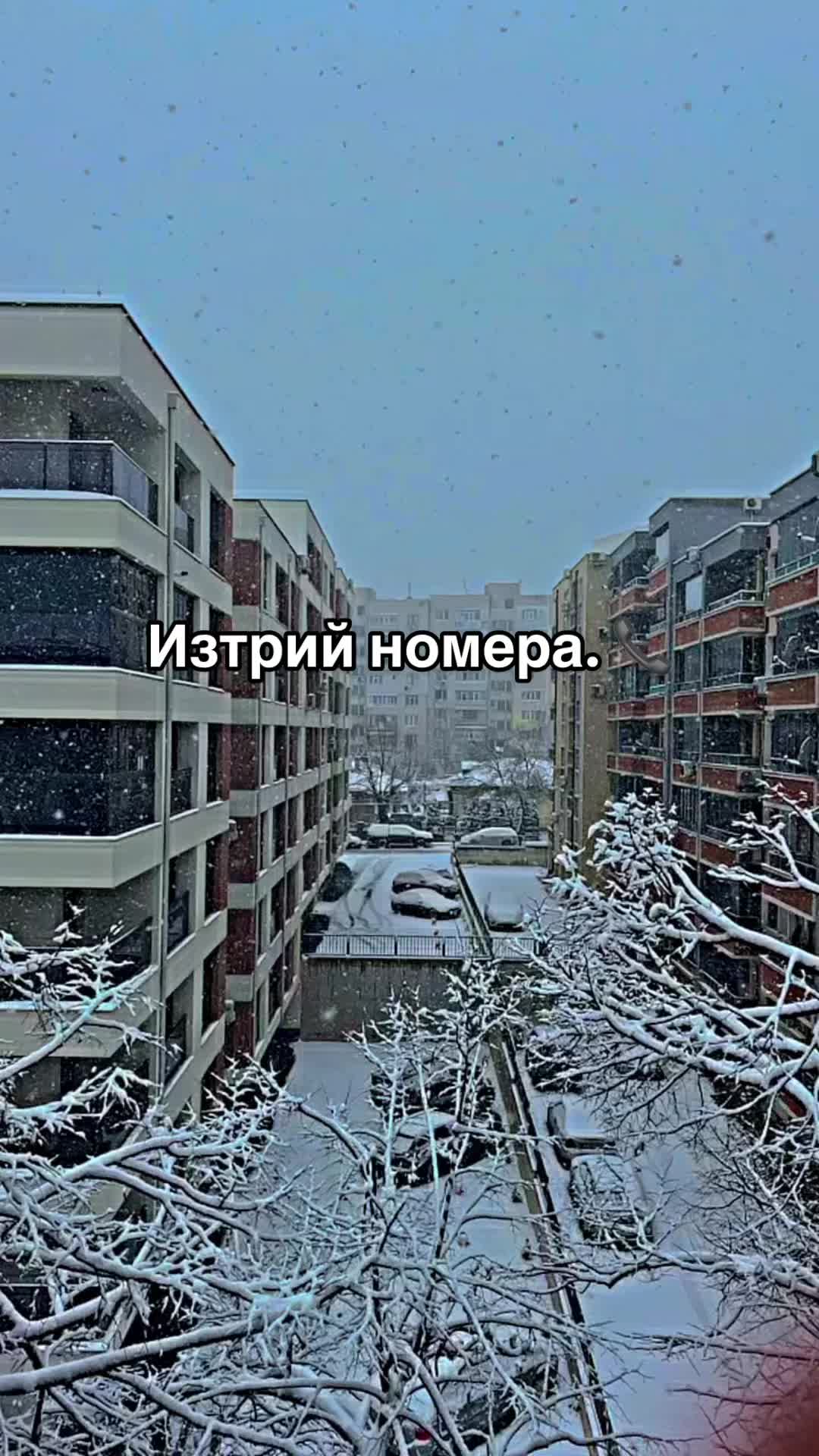 @İbo ♌🌪️