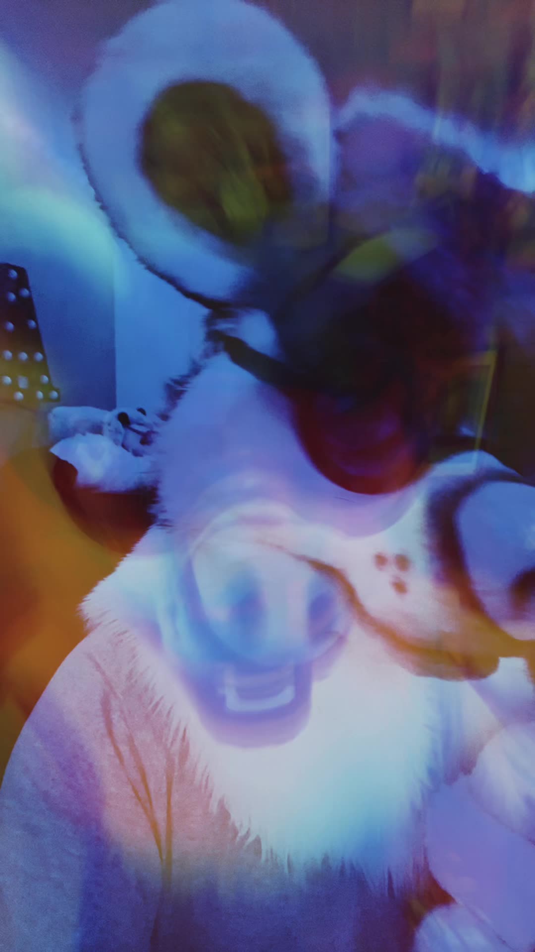 @StripeDaFox