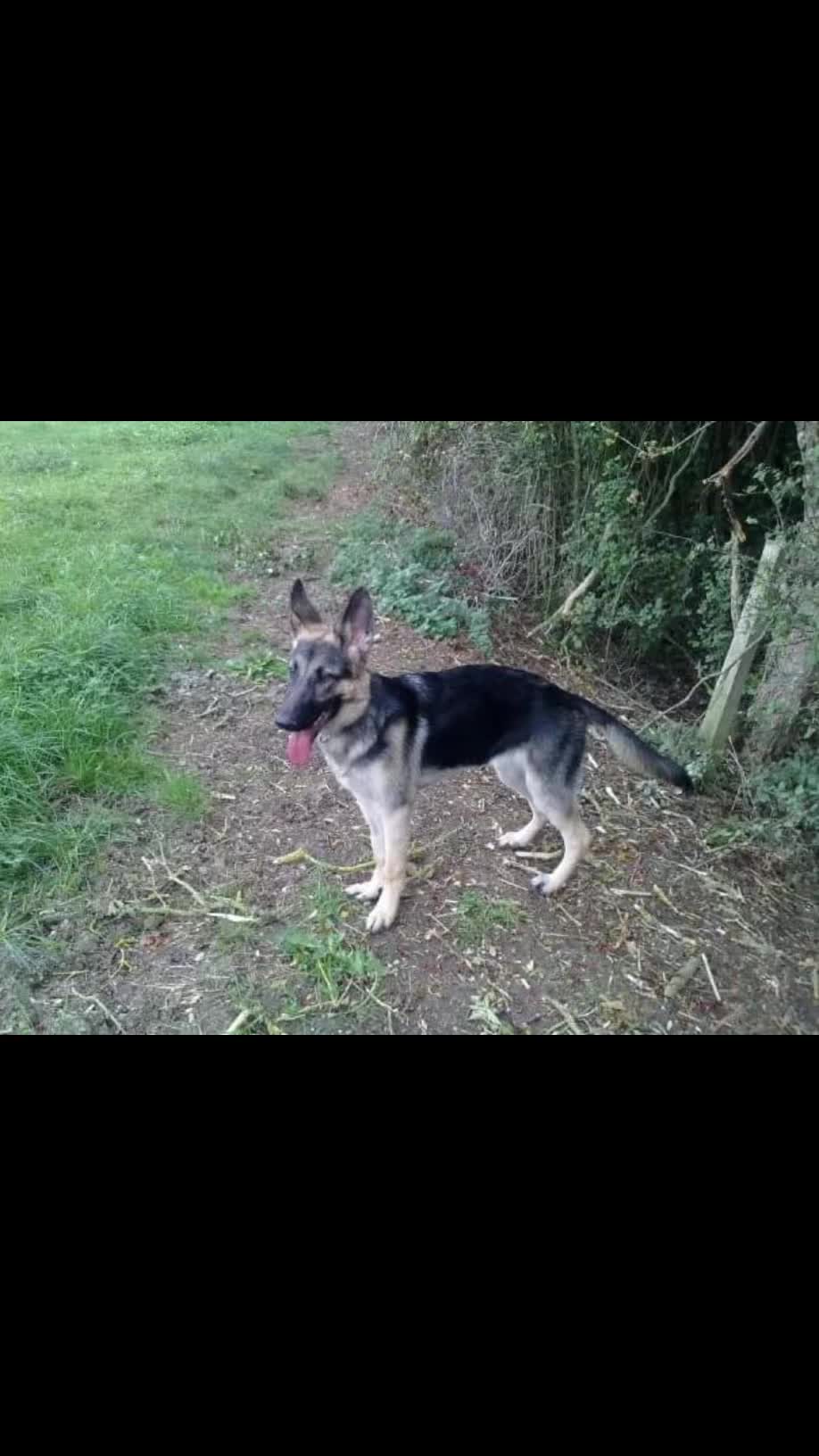 @kezza3830