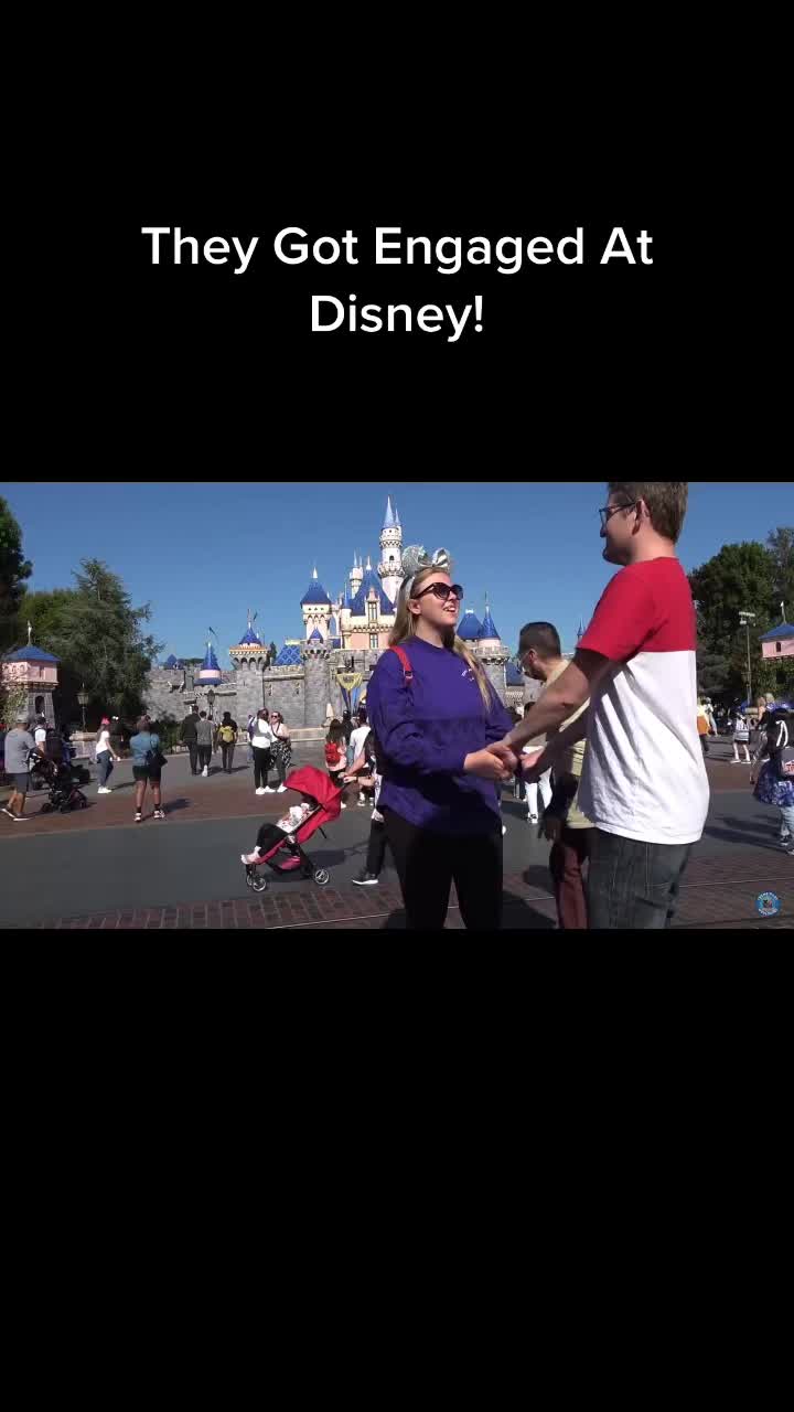@ThemeParkUkTeam🎢