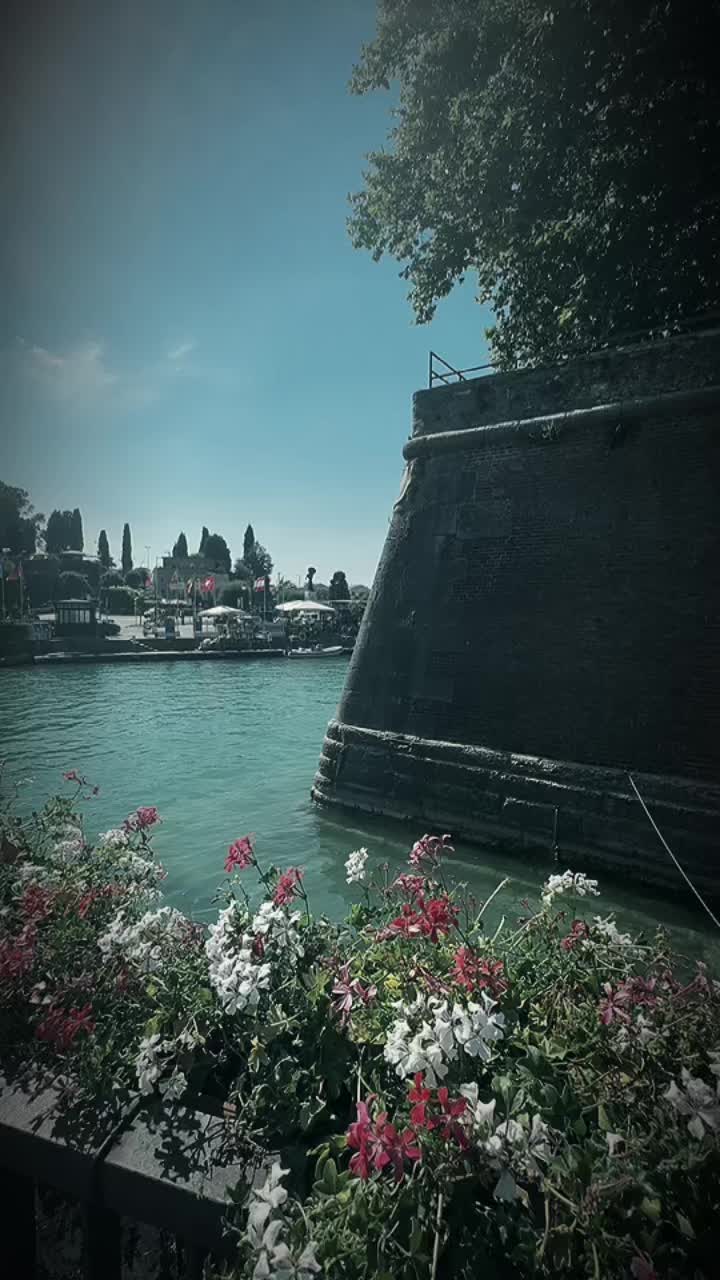 @David 🇬🇧