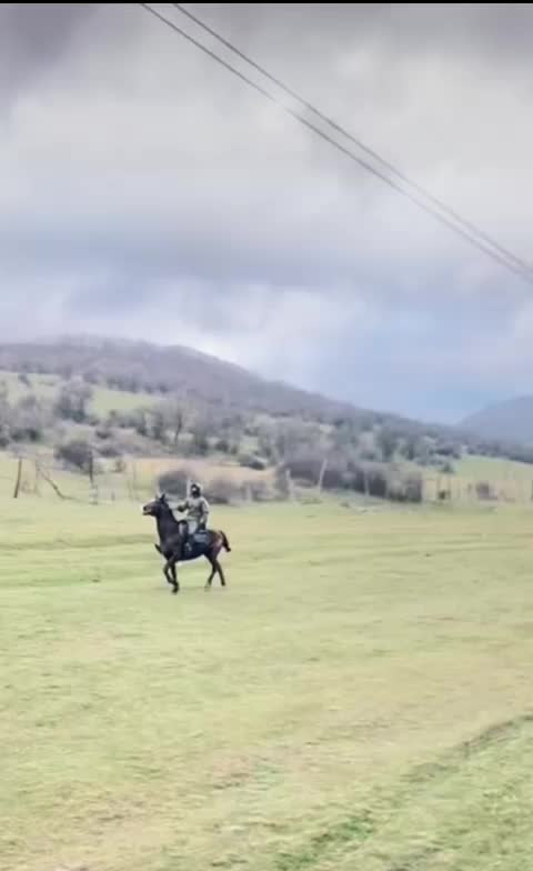 @tarki_horses05