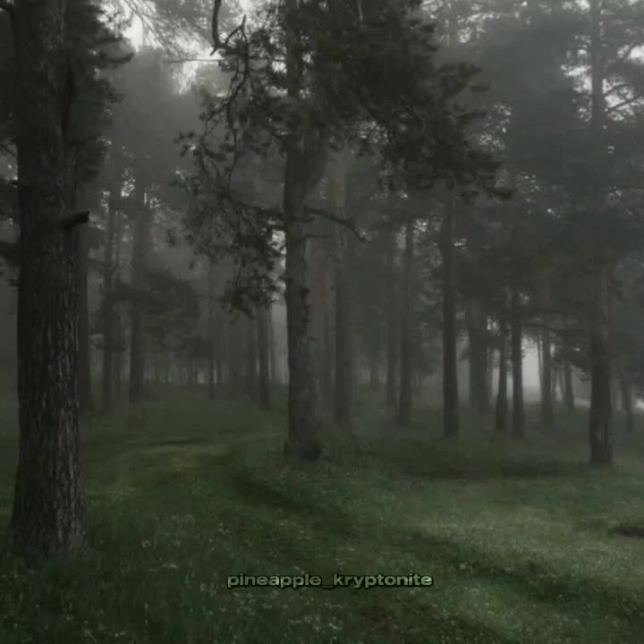 @_von.dutch_