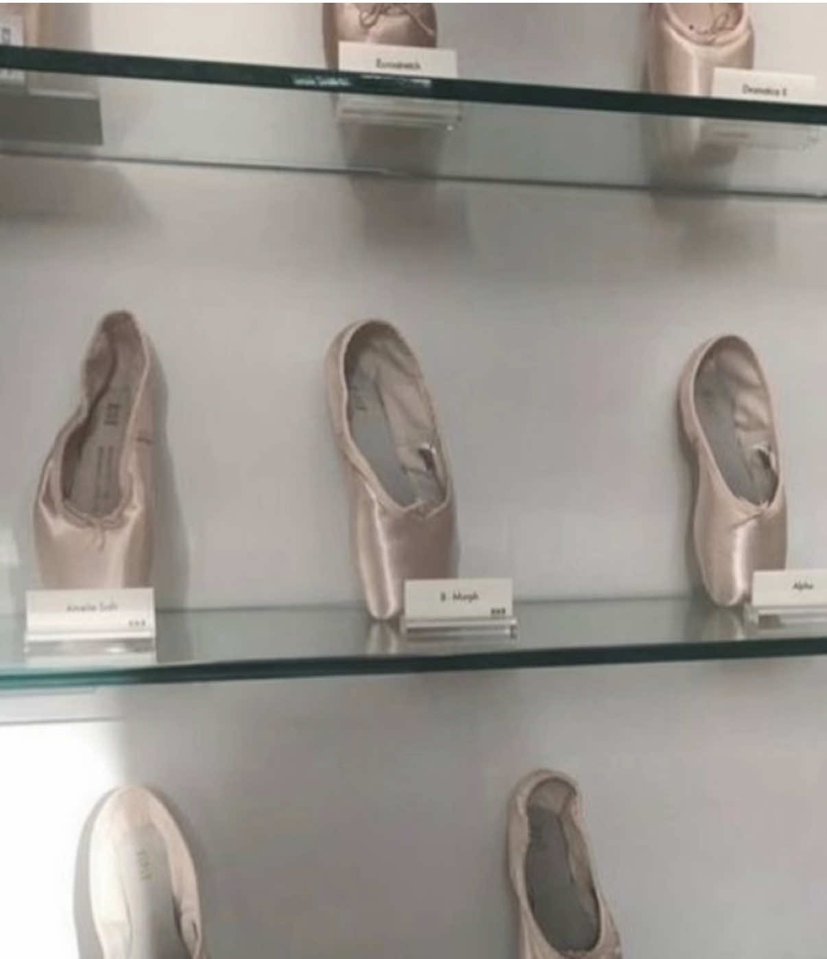 @⊹˚₊ ꒰ঌ 𝓚𝓮𝓻𝓮𝓷𝓼𝓪 ໒꒱ ₊˚⊹