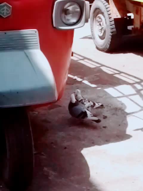 @car19lover¥\€¢