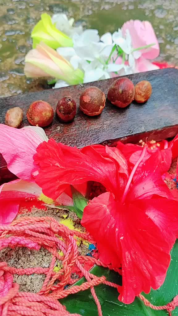 @@nibeditaparida