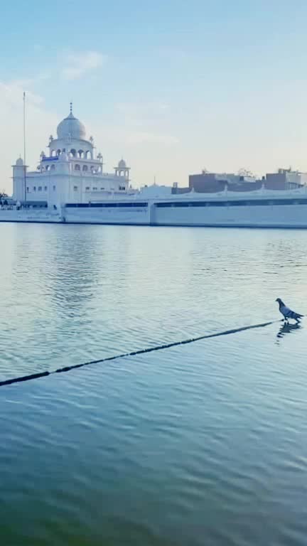 @✨Gagandeep singh✨