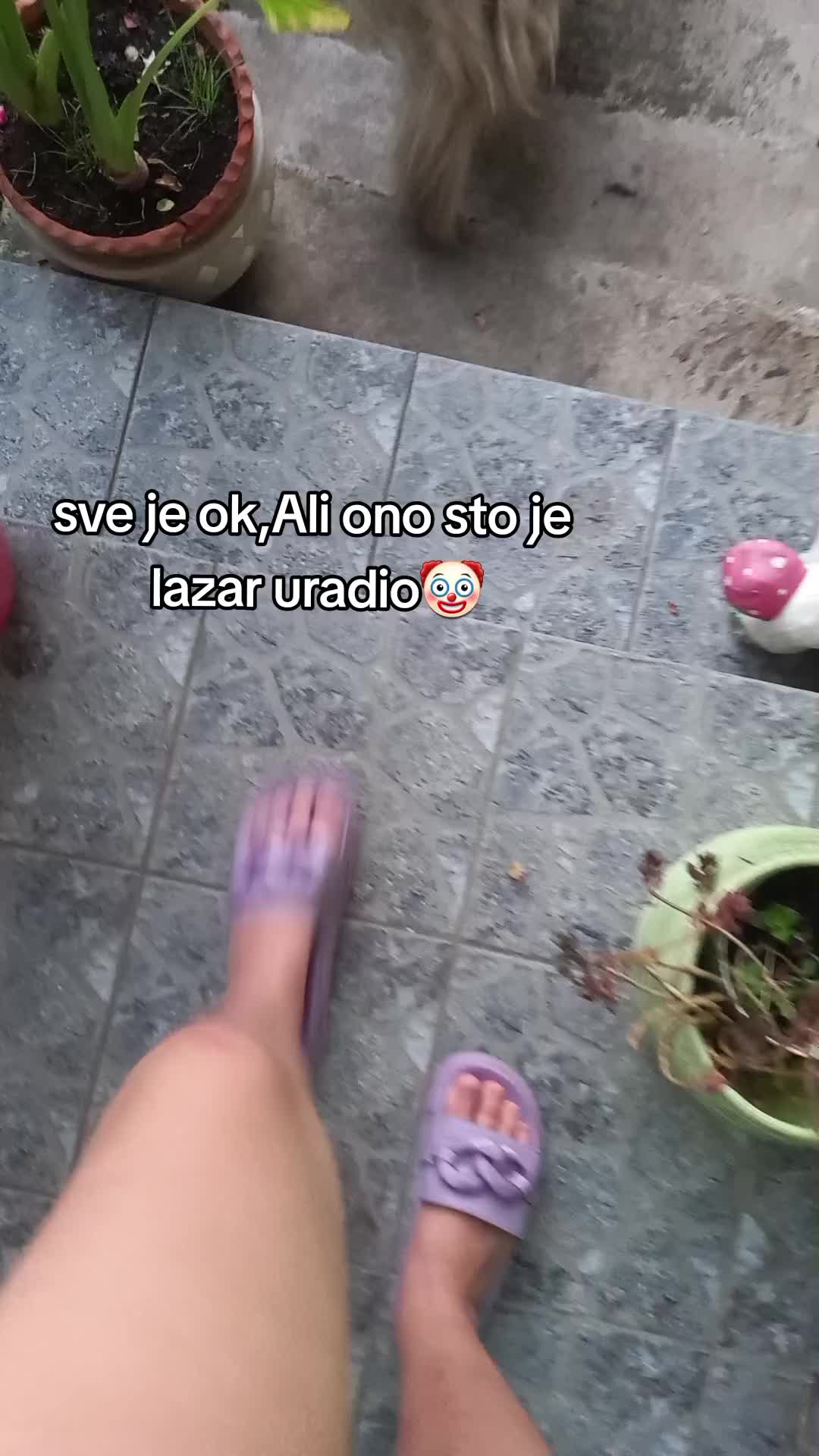 @user92512078531