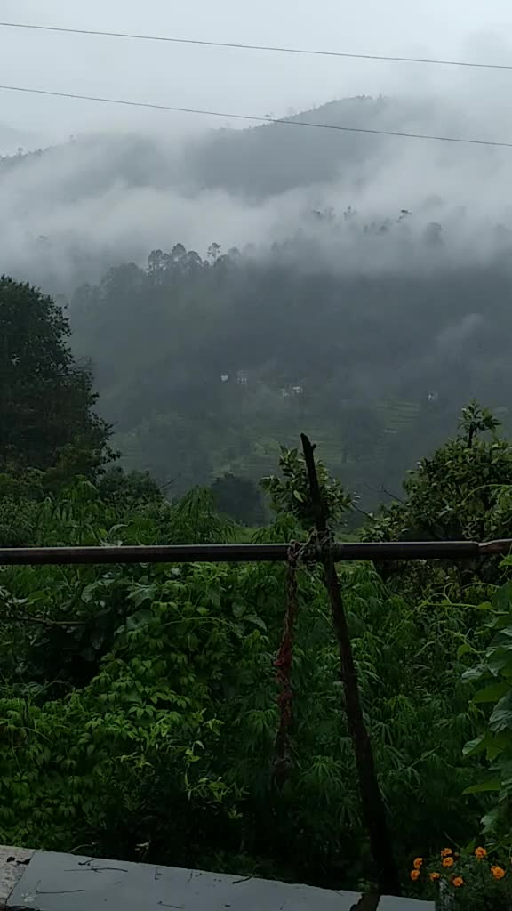 @joshiumesh