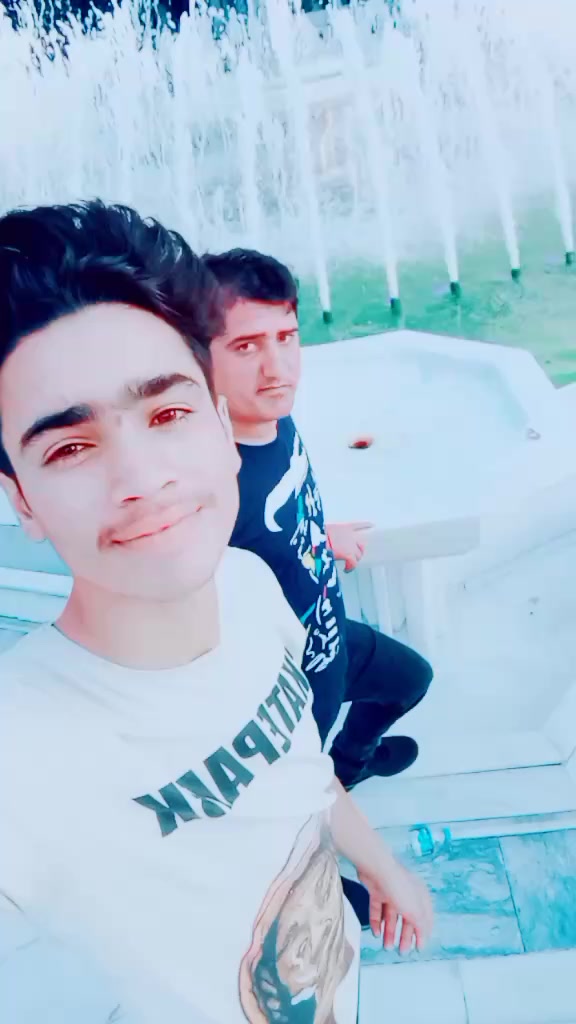@gulfamdogar265