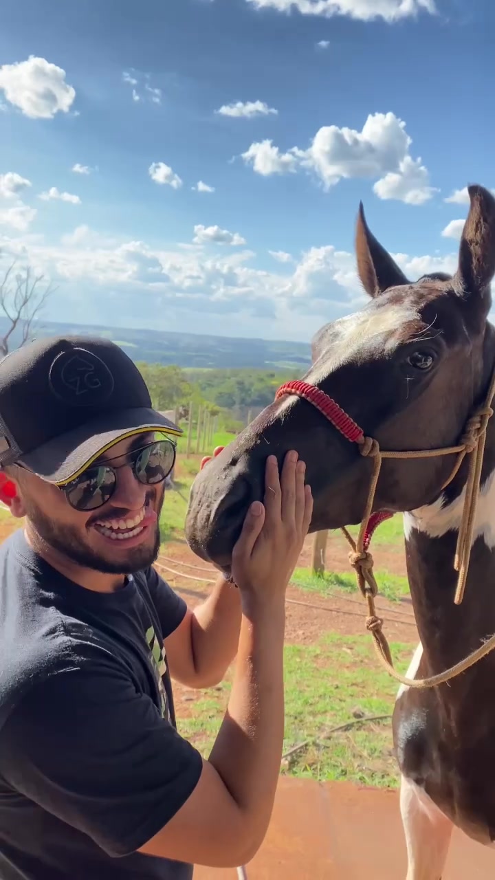@Haras Z&eacute; Galego