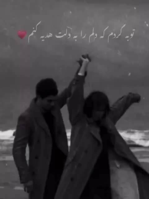 @S Hashimi791