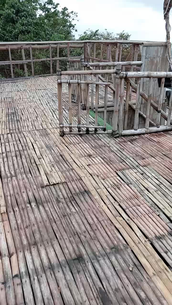 @giebacong