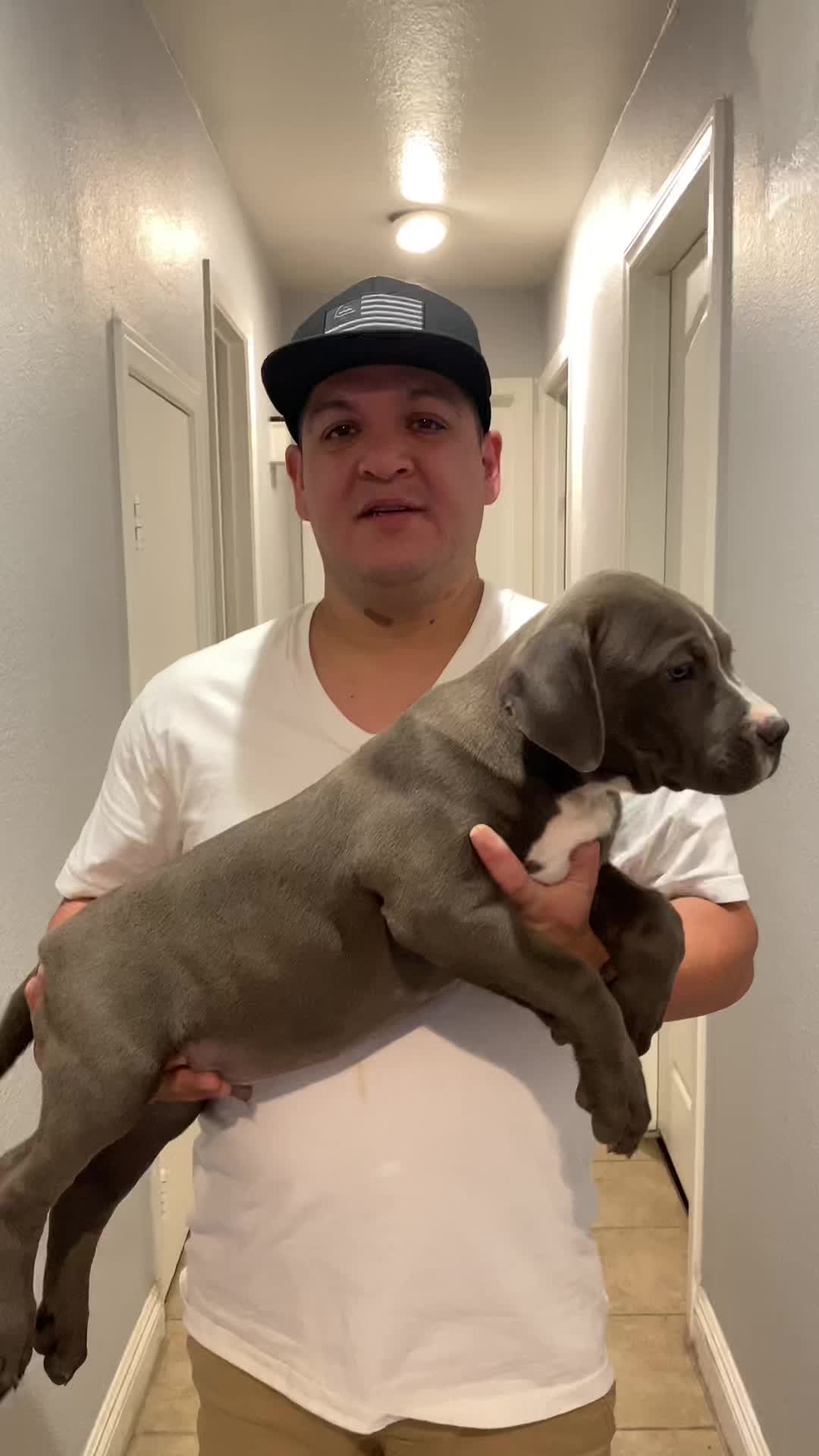 @Honorbound_Bullys