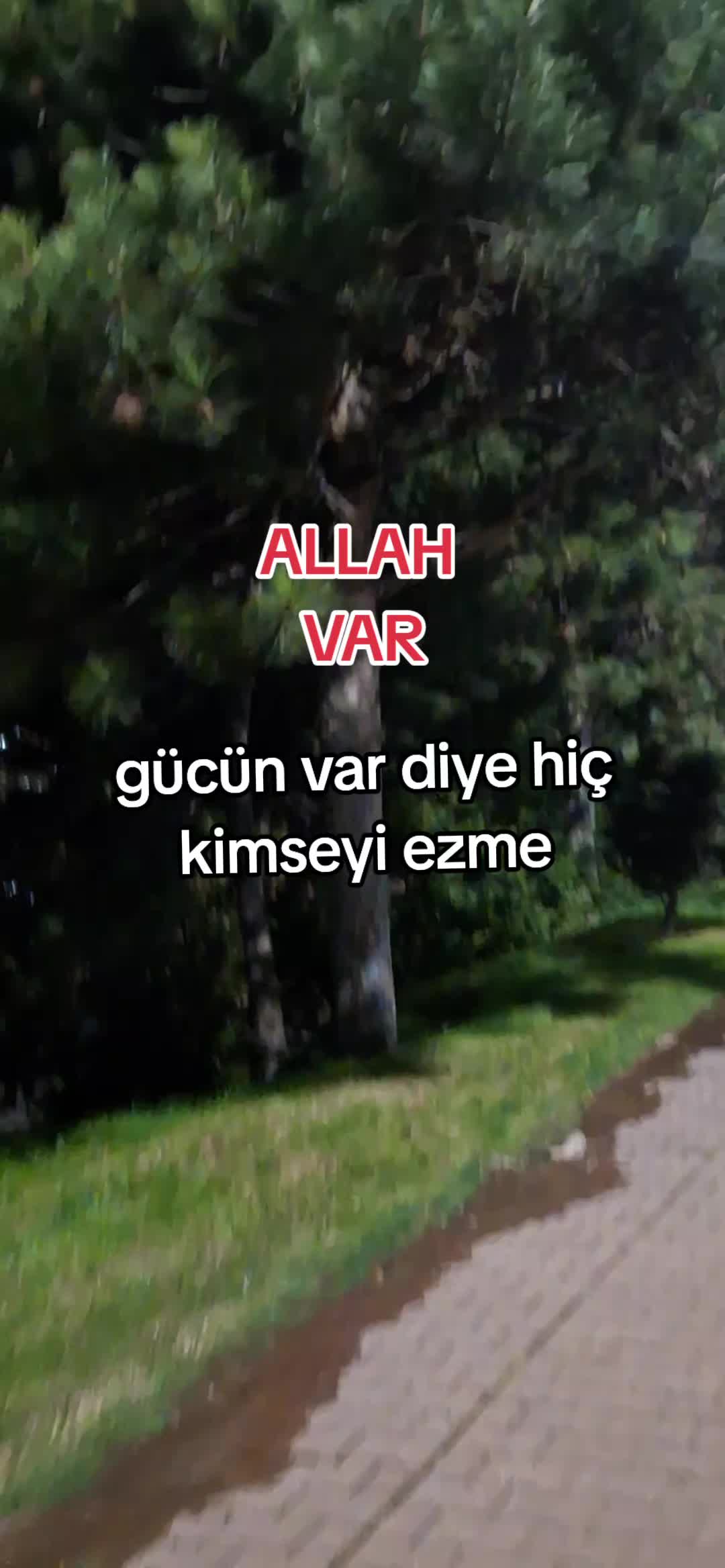 @gulvehsrn