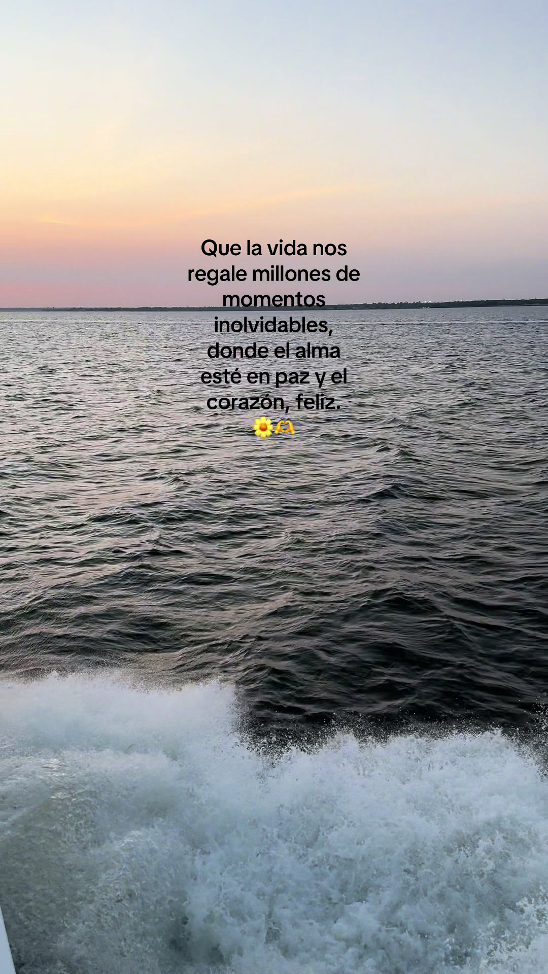 @Evelyn🦋