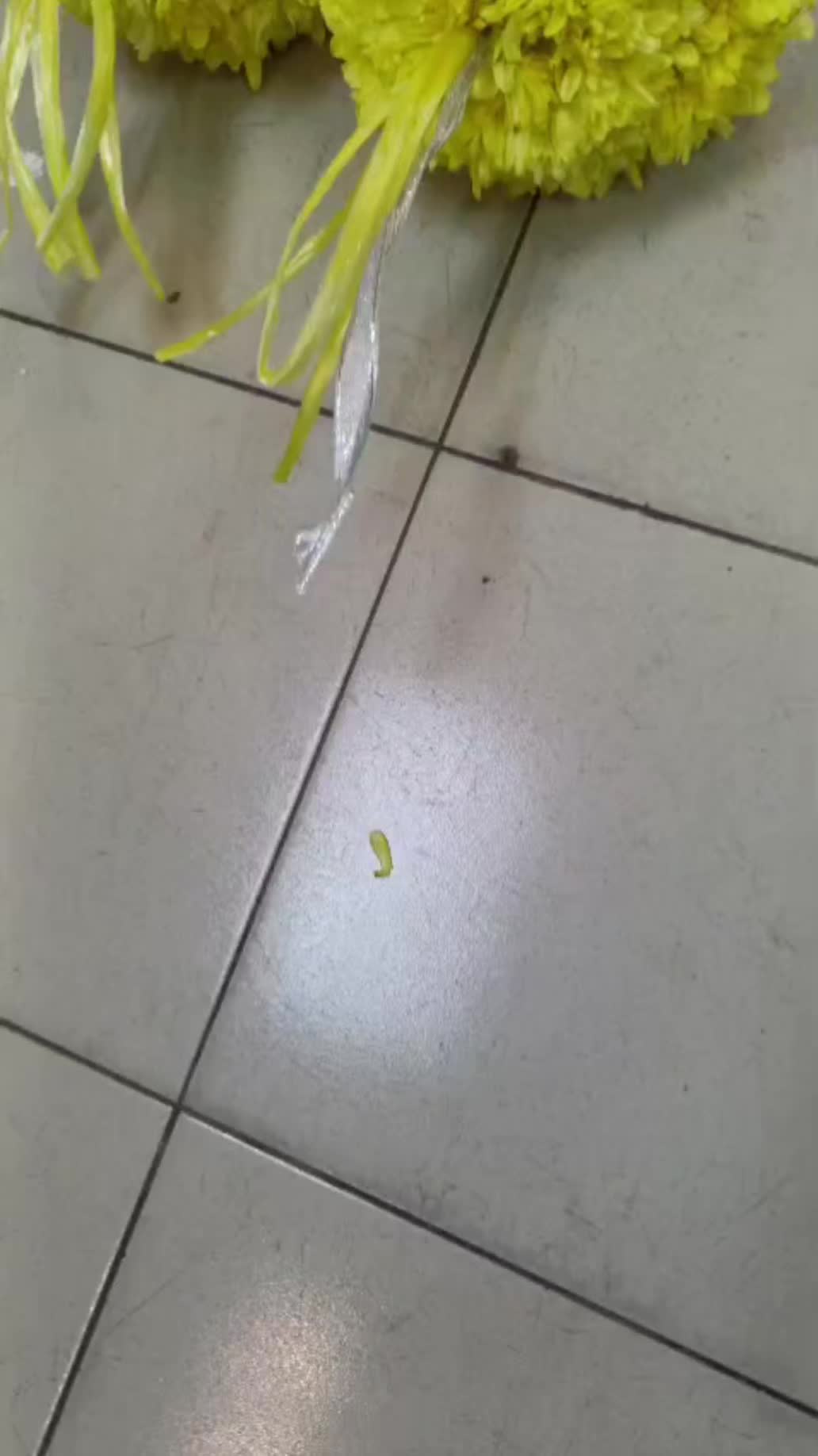 @gunamflorist