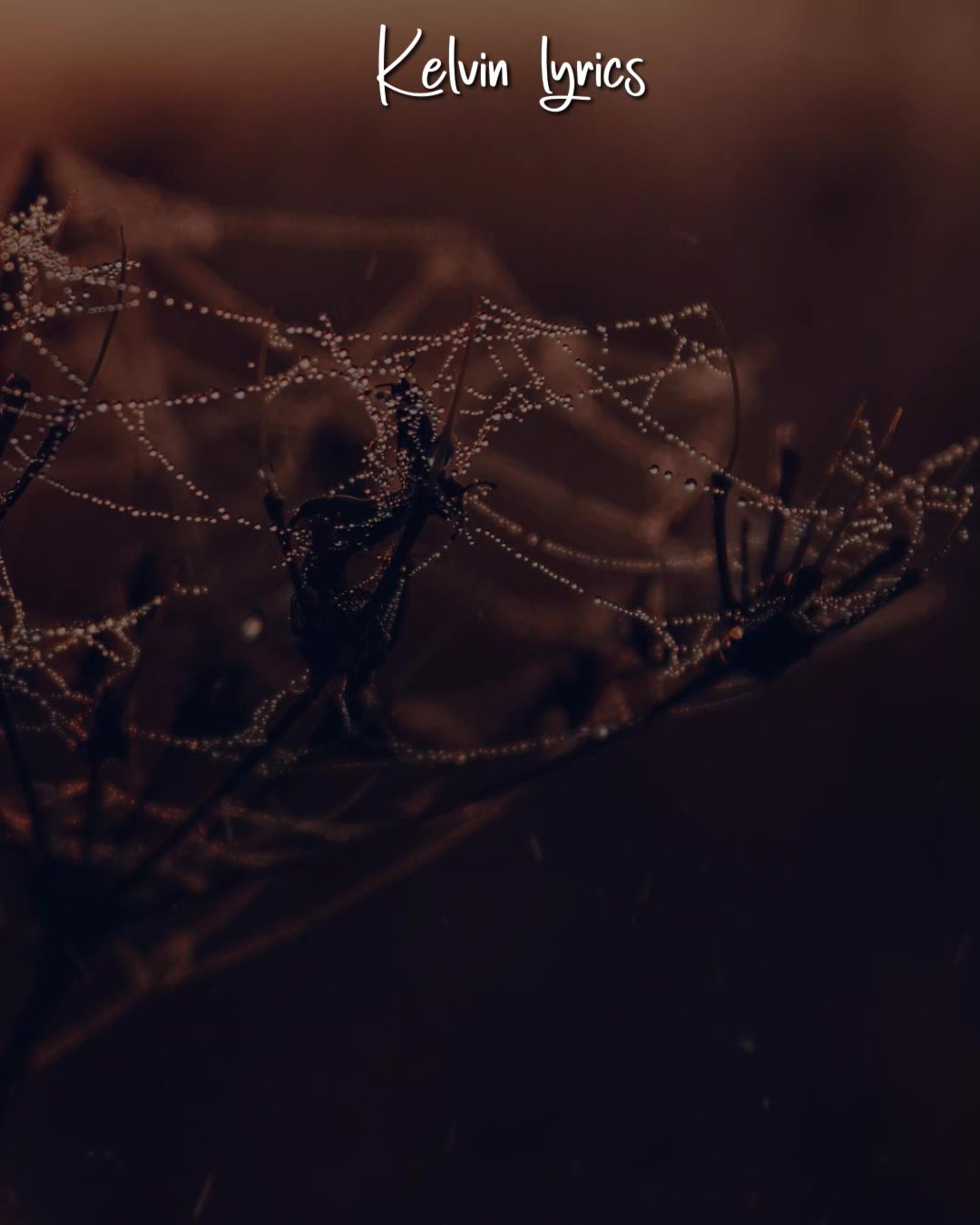 @𝐊𝐈𝐍𝐆 𝐎𝐅 𝐋𝐘𝐑𝐈𝐂𝐒