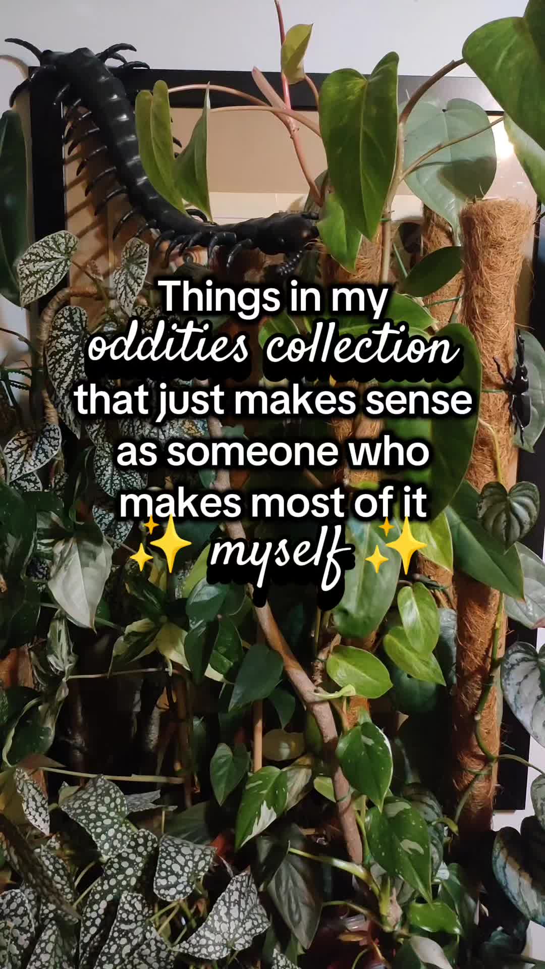 @Plant Mom