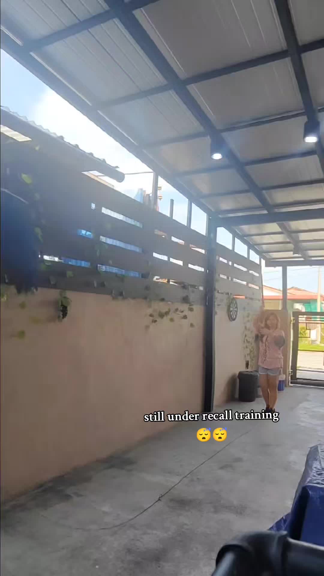 @Jessny Pet Lover