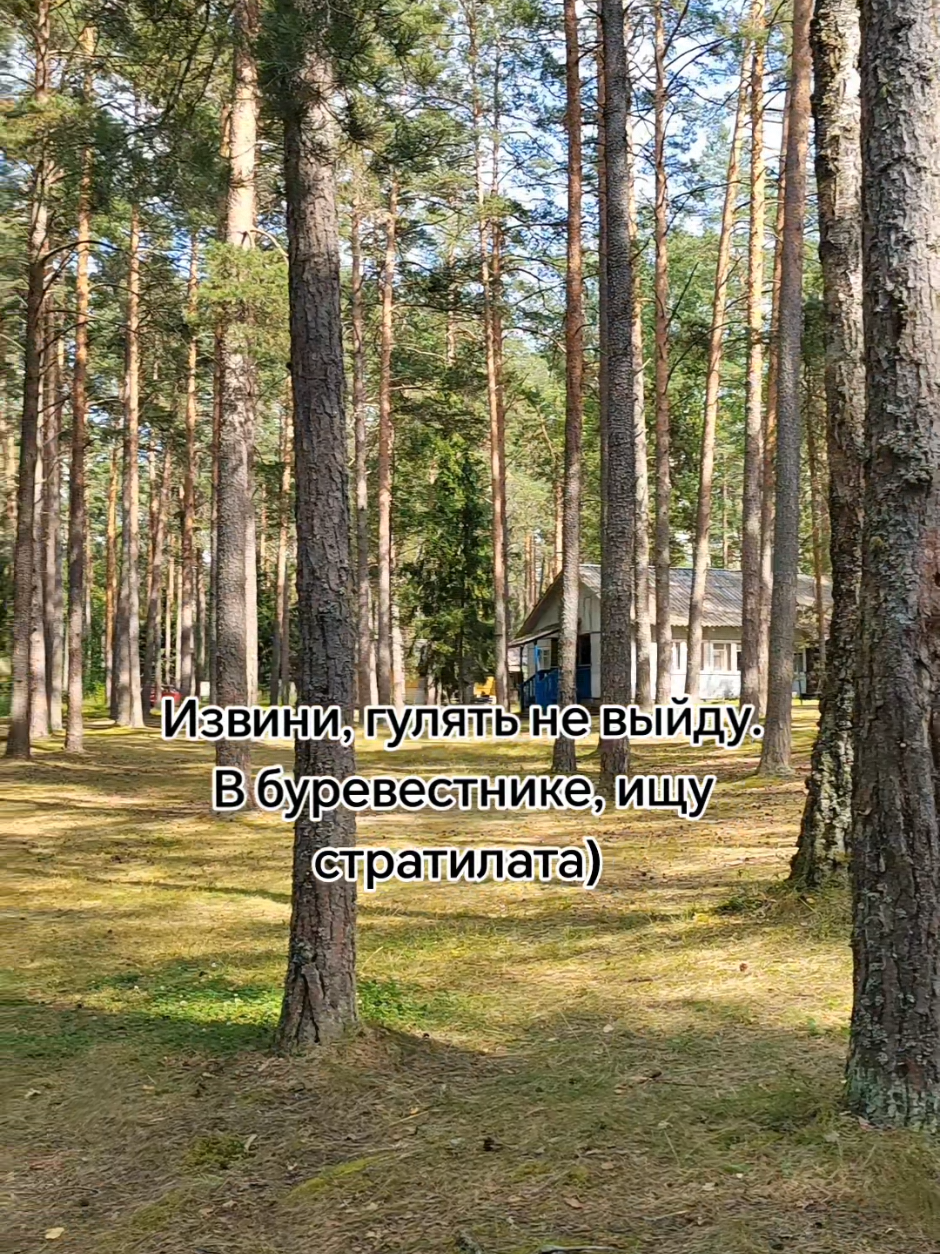 @софихен🧁