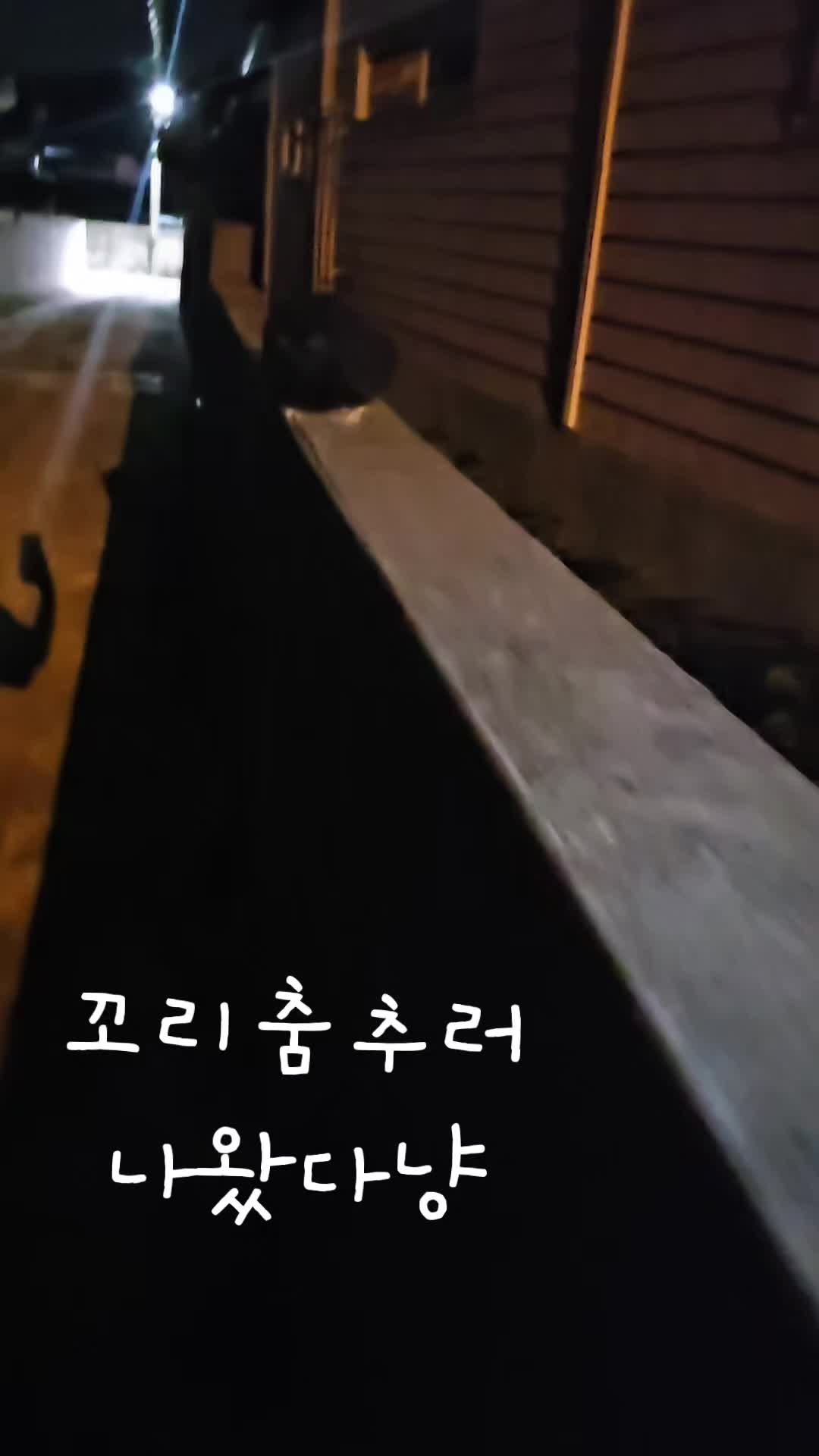 @검은고양이 터보